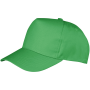 Boston pet Apple Green One Size