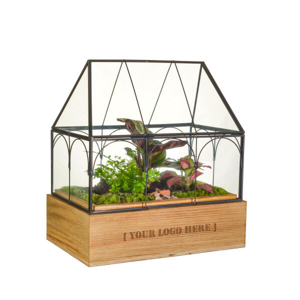 Wardians® Ecosystem - Garden house small Wardians® Ecosystem - Garden house small