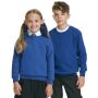 Kids Raglan Sweatshirt, Royal Blue, 9-10, AWDis Academy
