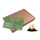 Kaart - Mix met Voorjaarsbloeiers (plantseizoen oktober-december)