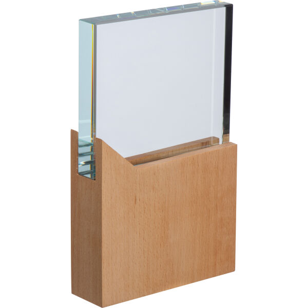 Trofee met houten sokkel