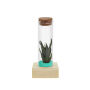 Tiny Treasurez® - Single tube & wood, Turquoise
