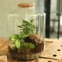 Wardians® Ecosystem - Stripe large, Zonder verpakking