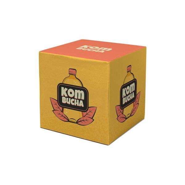 Zitkubus Opvouwbaar met Print Zitkubus Opvouwbaar met Print