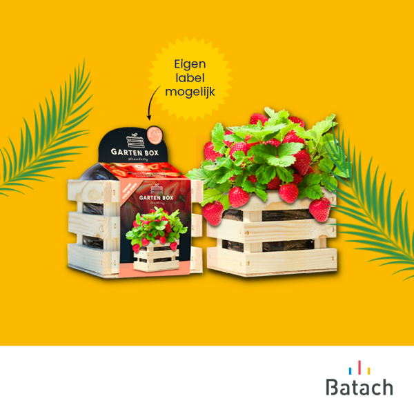 Zomergeschenk aardbei Zomergeschenk aardbei