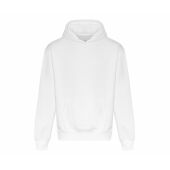 ARCTIC WHITE