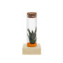 Tiny Treasurez® - Single tube & wood, Oranje