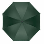 RAYNA - 27" auto paraplu houten greep - Groen