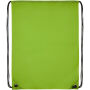 Oriole premium polyester rugzak 5L - Lime Oriole premium polyester rugzak 5L - Lime