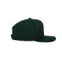 CLASSIC SNAPBACK CAP, SPRUCE, Adult, FLEXFIT CLASSIC SNAPBACK CAP, SPRUCE, Adult, FLEXFIT