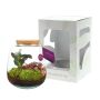 Wardians® Ecosystem - Sphere medium, Zonder verpakking