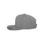 Classic Snapbackpet SILVER One Size