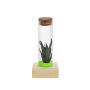 Tiny Treasurez® - Single tube & wood, Groen