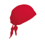 Bandana Red One Size