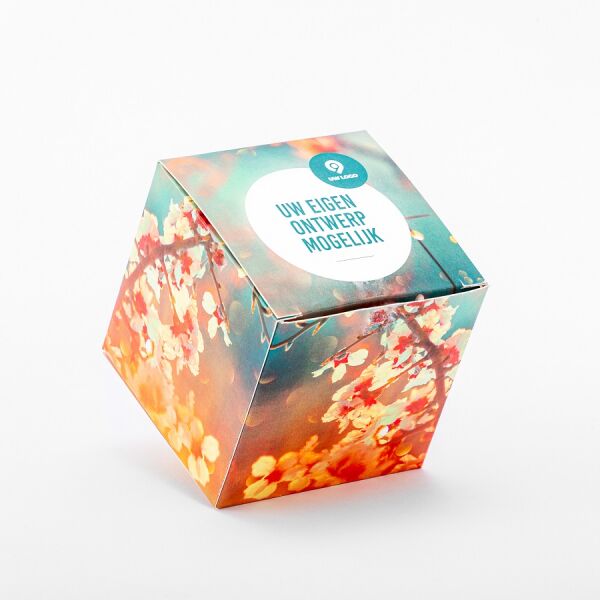 Geschenkverpakking incl. 1 appel met zwarte bedrukking