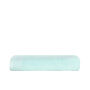 T1-100 Classic Beach Towel - Mint
