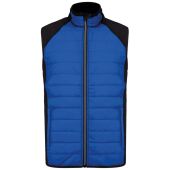 dark royal blue/black