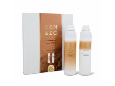 Cadeaubox Bodyspray & Showerfoam Element