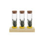 Tiny Treasurez® - Trio tube & wood, Geel