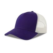 PURPLE/WHITE