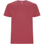 Stafford short sleeve kids t-shirt - Chrysanthemum Red - 11/12