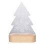 Woodify Xmas - Kerstboom LED licht trofee