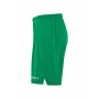 Evolve 2.0 Shorts M Team Green XS