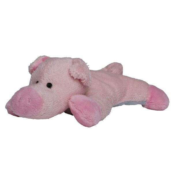 Screen cleaner pig