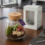 Wardians® Ecosystem - Conical small, Zonder verpakking Wardians® Ecosystem - Conical small, Zonder verpakking