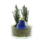 No Water Flowers® - Christmas glass elegance, In cellofaan, Blauw