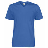 Koninklijk Blauw