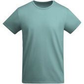 Breda kortärmad T-shirt för herr - Dusty Blue - 3XL