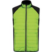lime/black