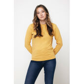 IQONIQ Zion gerecycled katoen sweater, ochre yellow (XXS)