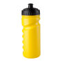 Torina - sport fles