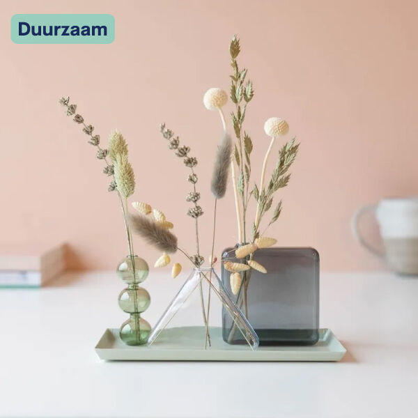 Dried Delight Dried Delight