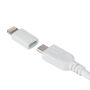 MFI Lightning Adapter