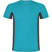 Turquoise/Dark Lead