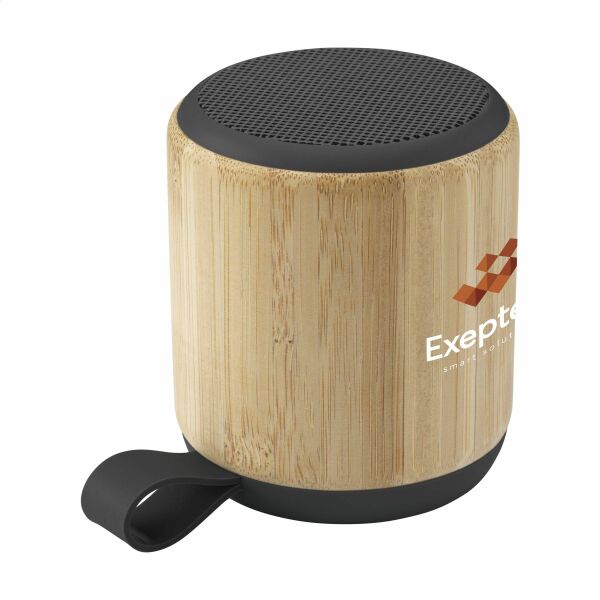 Bluetooth speakers