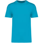 Light Turquoise