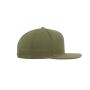 CLASSIC SNAPBACK CAP, BUCK, Adult, FLEXFIT CLASSIC SNAPBACK CAP, BUCK, Adult, FLEXFIT