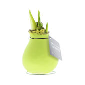 Pastel groen