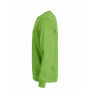 Basic R/N Sweater Light Green L