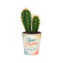 Tiny Greenz in papercup, Zonder verpakking, Cacti mix