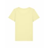 Stella Expresser 2.0 - Dagelijks fitted T-overhemd met een vrouwelijk cut - Lemon Sorbet (S)
