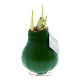 Donkergroen