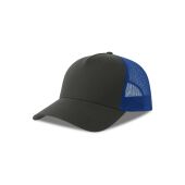 DARK GREY/ROYAL