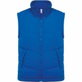 light royal blue