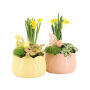Easter colourful ceramic large - Narcis, Zonder verpakking