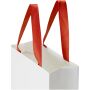 Smartfold papieren tas van 210 g/m² met lintgrepen en een glanzende laminaatlaag - 24 x 10 x 32 cm - Rood Smartfold papieren tas van 210 g/m² met lintgrepen en een glanzende laminaatlaag - 24 x 10 x 32 cm - Rood